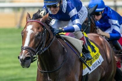 Trikari Returns is one of the 23rd Grade winners