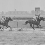 Underrated Stars of the 1950s: Crafty Admiral, First Landing, and Tim Tam