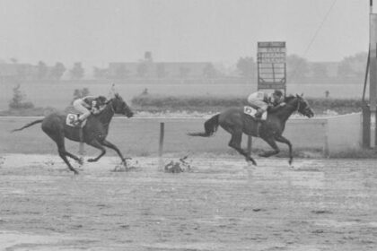 Underrated Stars of the 1950s: Crafty Admiral, First Landing, and Tim Tam