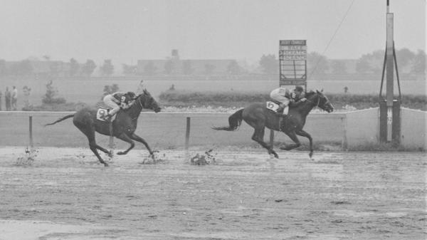 Underrated Stars of the 1950s: Crafty Admiral, First Landing, and Tim Tam