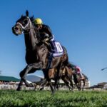 Unique Grass Course Experiences Key Facts of the Kentucky Turf Sprint