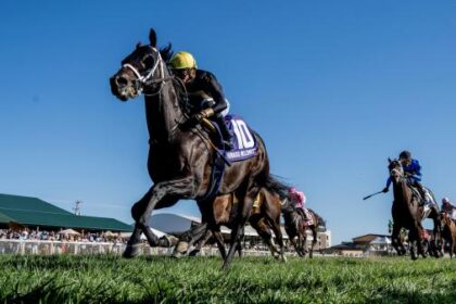 Unique Grass Course Experiences Key Facts of the Kentucky Turf Sprint