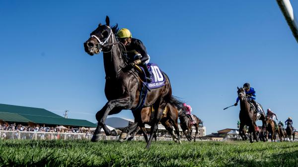 Unique Grass Course Experiences Key Facts of the Kentucky Turf Sprint