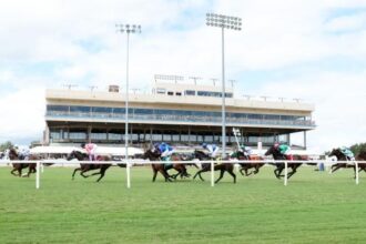Where to watch: Horse Racing Report August 6th-10th