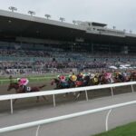 Where to watch: Horse Racing Reports August 13th-17th