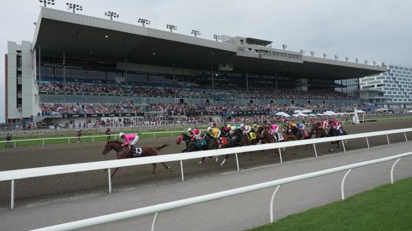 Where to watch: Horse Racing Reports August 13th-17th