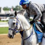 White Arario smokes four fur in his first job after Whitney