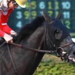 With the Blinker, the gold chunks lead you all the way to win the wv derby