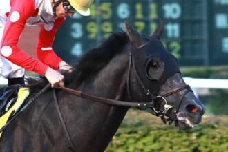 With the Blinker, the gold chunks lead you all the way to win the wv derby