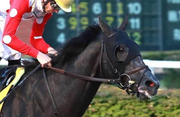 With the Blinker, the gold chunks lead you all the way to win the wv derby