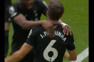 First half of the goal Tottenham Hotspur wins Manchester City (video) from Johnson and Parchignaseal