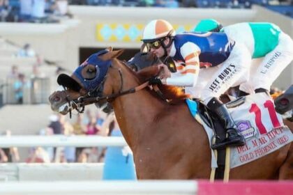 13 staged winners are on the tab