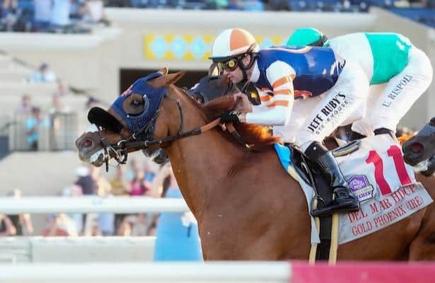 13 staged winners are on the tab