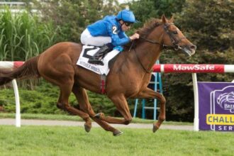Buy or sell on the road to the Breeders' Cup: Woodbine Mile Winners Notable Speech