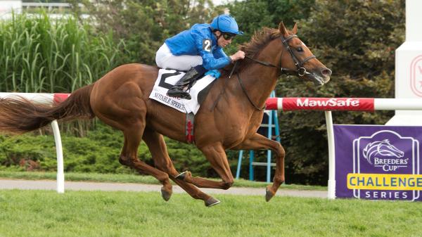 Buy or sell on the road to the Breeders' Cup: Woodbine Mile Winners Notable Speech
