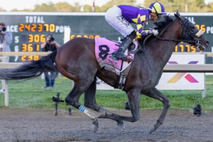 Buy or sell on the road to the Breeders' Cup: Pennsylvania Derby Winner Baeza