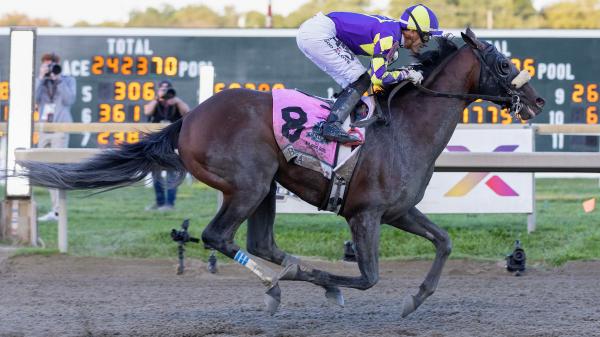 Buy or sell on the road to the Breeders' Cup: Pennsylvania Derby Winner Baeza