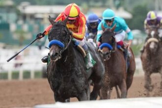 Buy or sell on the road to the Breeders' Cup: Goodwood Stakes Winner Nevada Beach