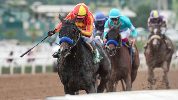 Buy or sell on the road to the Breeders' Cup: Goodwood Stakes Winner Nevada Beach