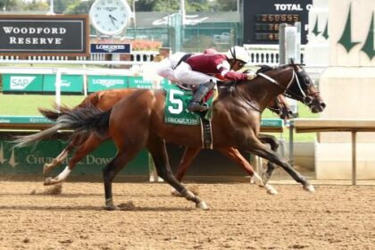 2-year-old spice runner rising on Equibase leaderboard