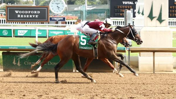 2-year-old spice runner rising on Equibase leaderboard