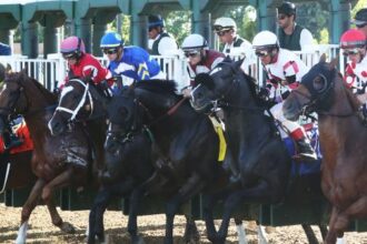 2025 ACK ACK bets at a glance