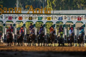 2025 American Pharaohs bet at a glance