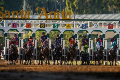 2025 American Pharaohs bet at a glance