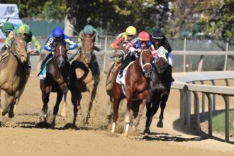 2025 Champagne Stakes bet at a glance