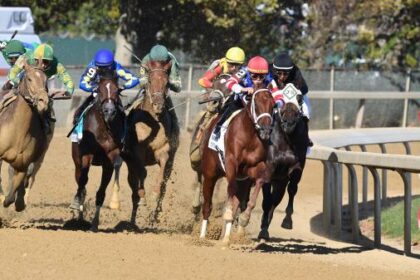 2025 Champagne Stakes bet at a glance