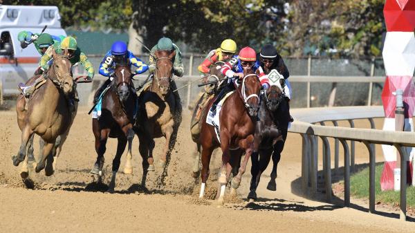 2025 Champagne Stakes bet at a glance