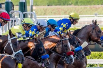 2025 Goodwood Stakes Cheat Sheet