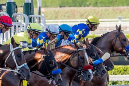 2025 Goodwood Stakes Cheat Sheet