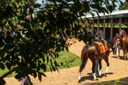 2025 Mint offers millions of invitations at a glance