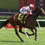 2025 Nataluma Stakes Exotic Betting Strategy