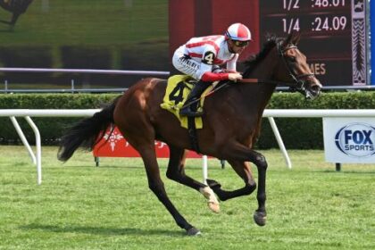 2025 Nataluma Stakes Exotic Betting Strategy