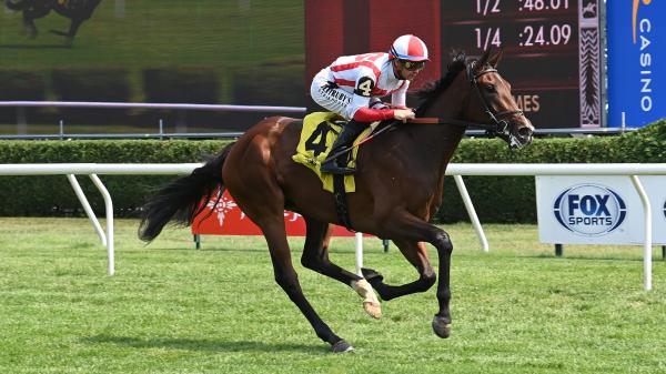 2025 Nataluma Stakes Exotic Betting Strategy