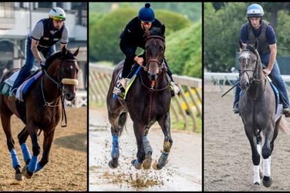 2025 Pennsylvania Durbee Tail Sheet