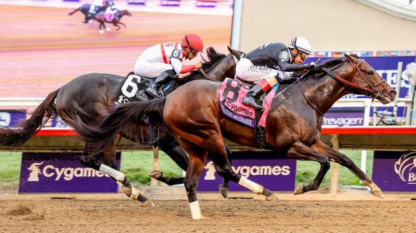 2025 Santa Anitas Print Championship