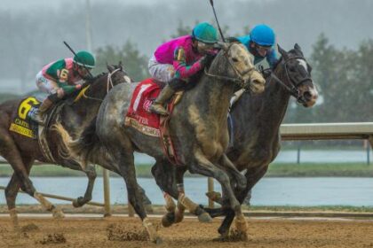 2025 Vosborough bets at a glance