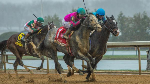 2025 Vosborough bets at a glance