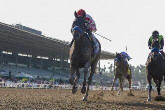 5 takeouts you need to know from the Key Weekend on the road to the Breeders' Cup