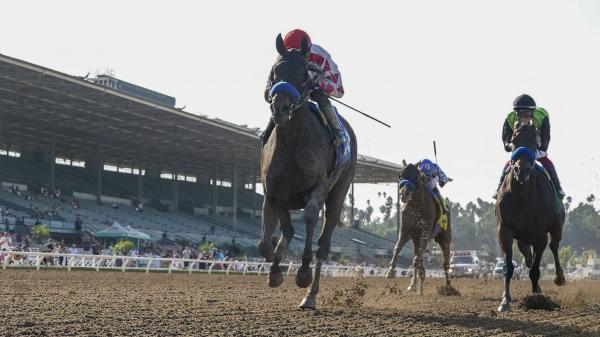 5 takeouts you need to know from the Key Weekend on the road to the Breeders' Cup