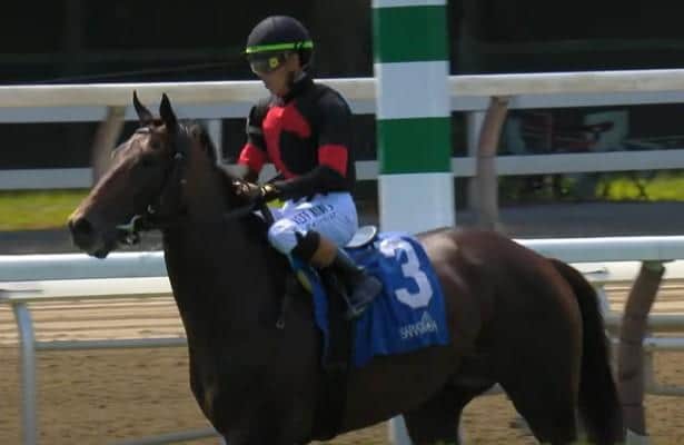 A 4 year old might go to Joe Hirsch Turf Classic