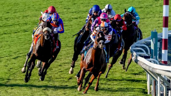 A guide to betting Santa Anita Park: Key Trends and Tips for Fall Tournaments