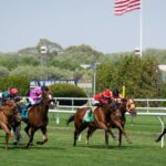 ABR Sunday Selection: Full Card Picks for September 14th Big A Big at Belmont Picks