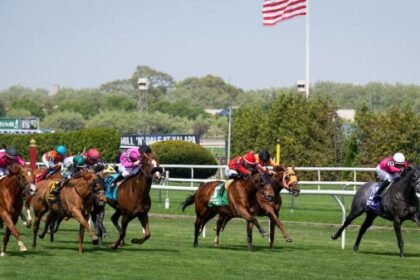 ABR Sunday Selection: Full Card Picks for September 14th Big A Big at Belmont Picks