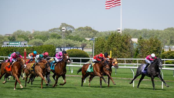 ABR Sunday Selection: Full Card Picks for September 14th Big A Big at Belmont Picks