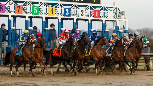 ABR Sunday Selection: Full Card Picks for September 28th from Belmont