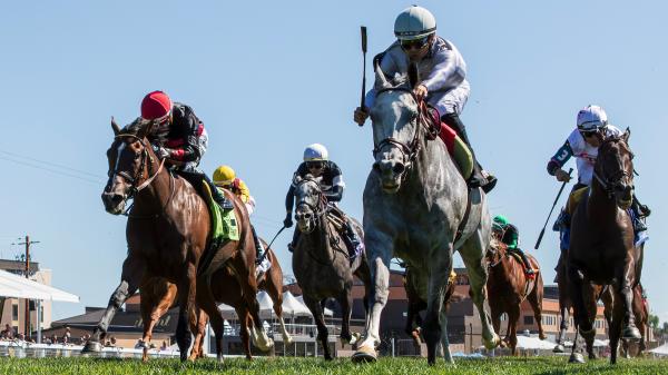 Ag Bullet climbs the top 10 of Equibase Leaderboard, and Pletcher joins Elite Five